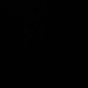 Meet your Posher, Kai